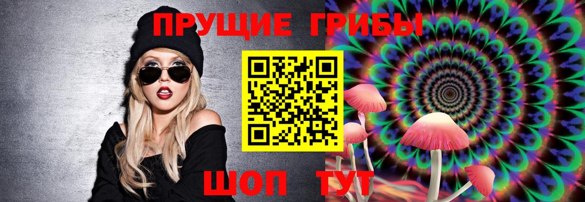 Галлюциногенные грибы GOLDEN TEACHER  Вход с VPN  Галлюциногенные грибы прущие грибы  Всеволожск 